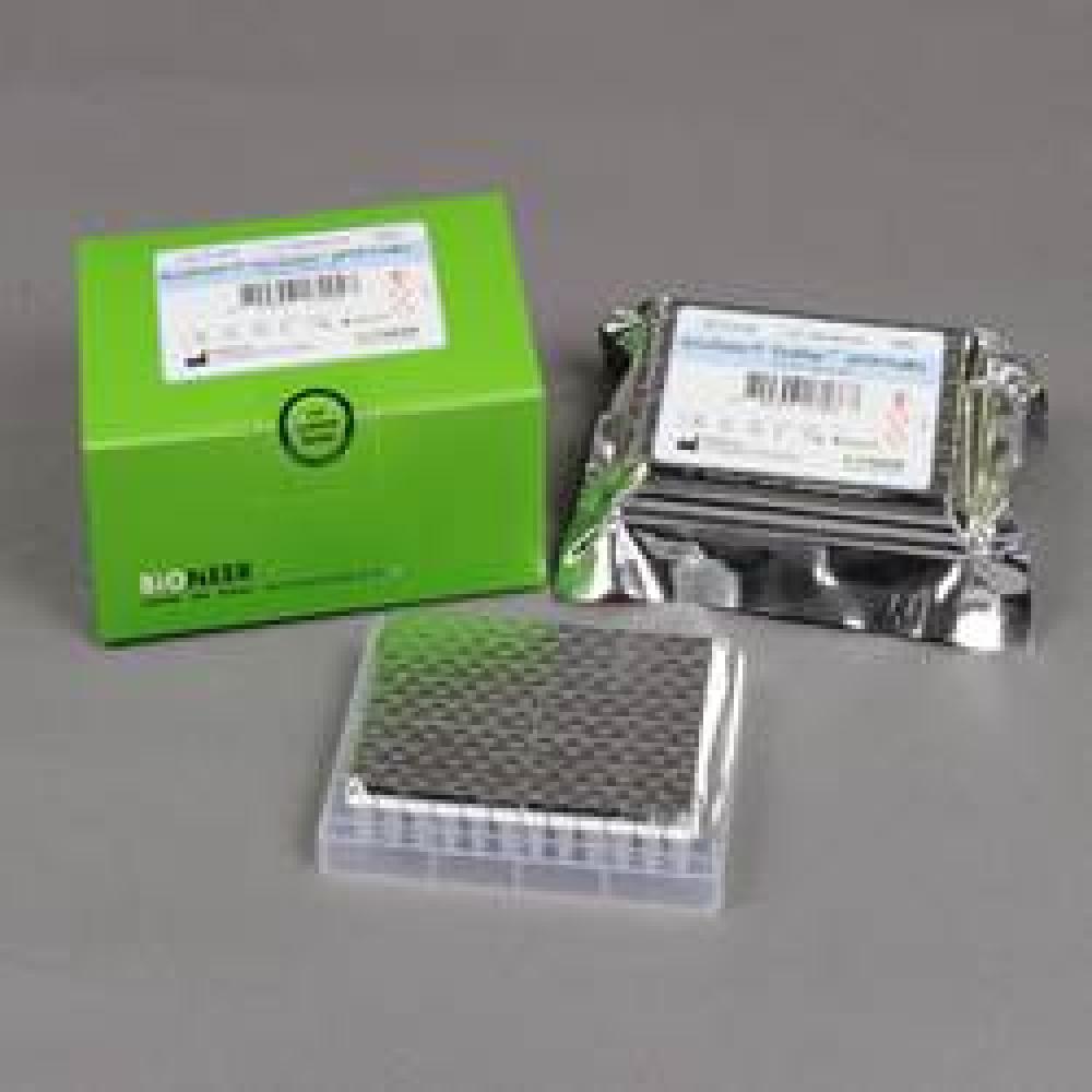  DNA/RNA amplification AccuPowerⓇ 