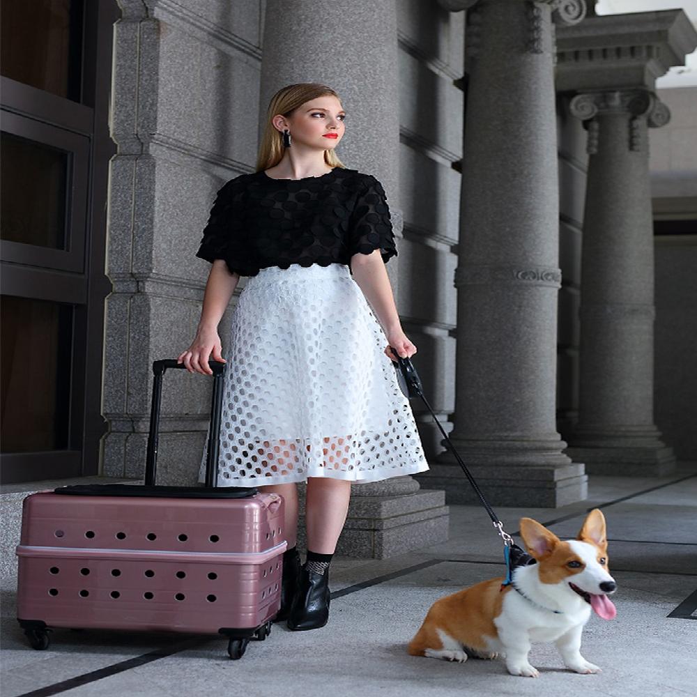 PUBT pet carry bag with casters Duke M