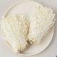detail image2 ENOKI FRESH MUSHROOM