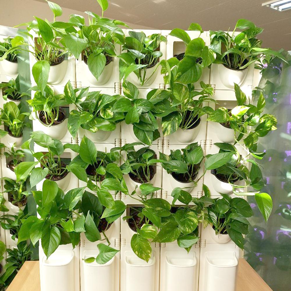 STACKO-POT (Vertical farm)