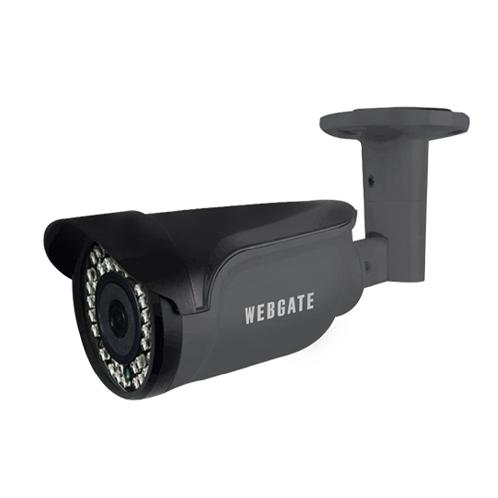 IP type Flame Detection Camera