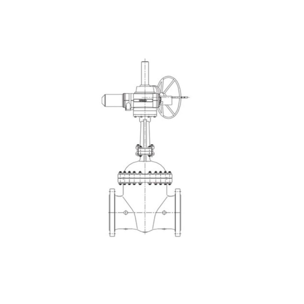 Gate Valve (Series DRF)