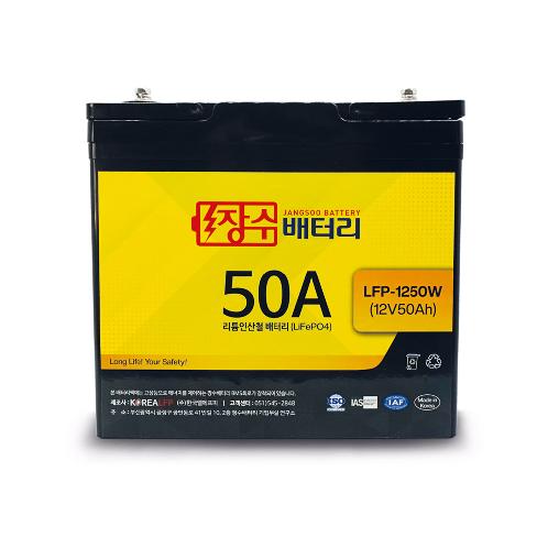 LiFePO4(LFP) battery (LFP-1250W) | LiFePO4, LPF battery, 12V