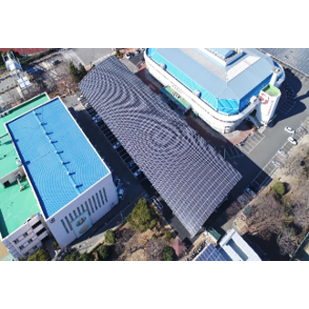 Community microgrid system