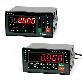 full image Digital Weighing Indicator_MI 2000 Series (4-stage weight control)