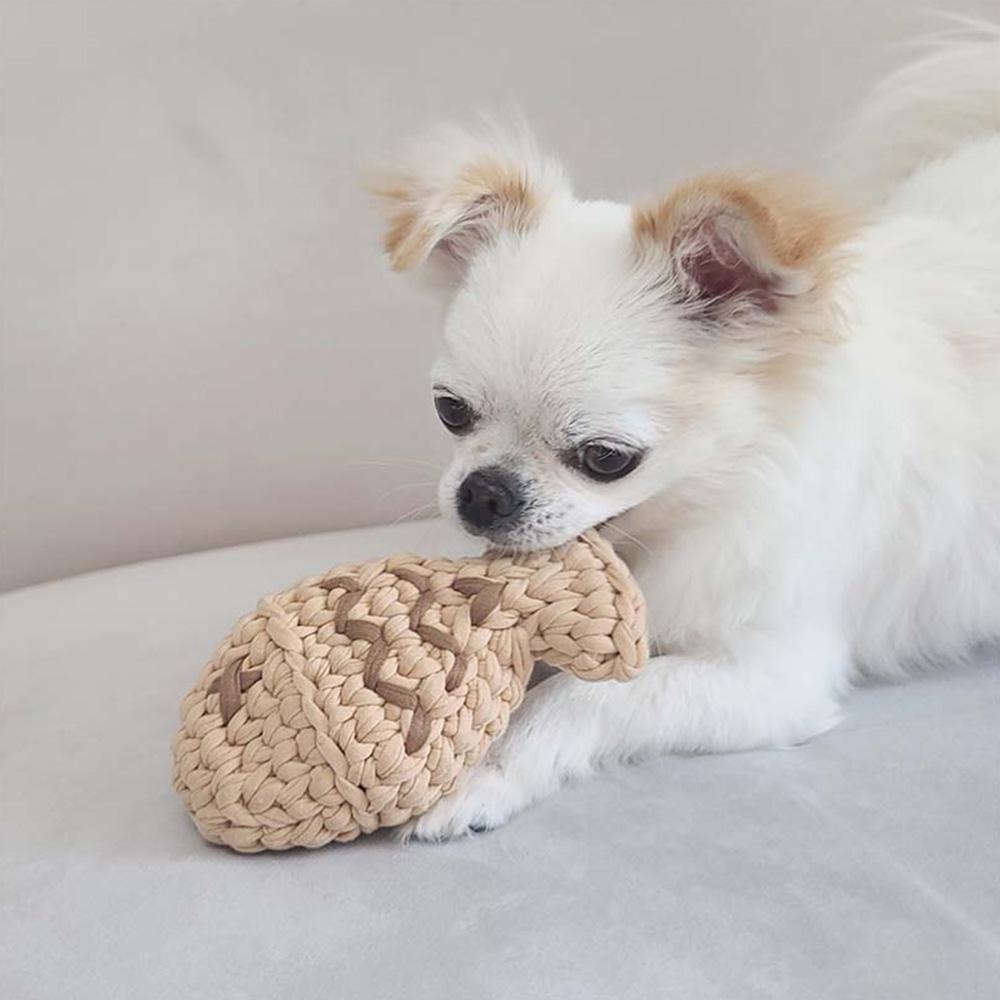 Bungeoppang Catch Toy