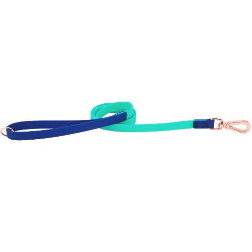 Colorblock Waterproof Leash For Dog Training