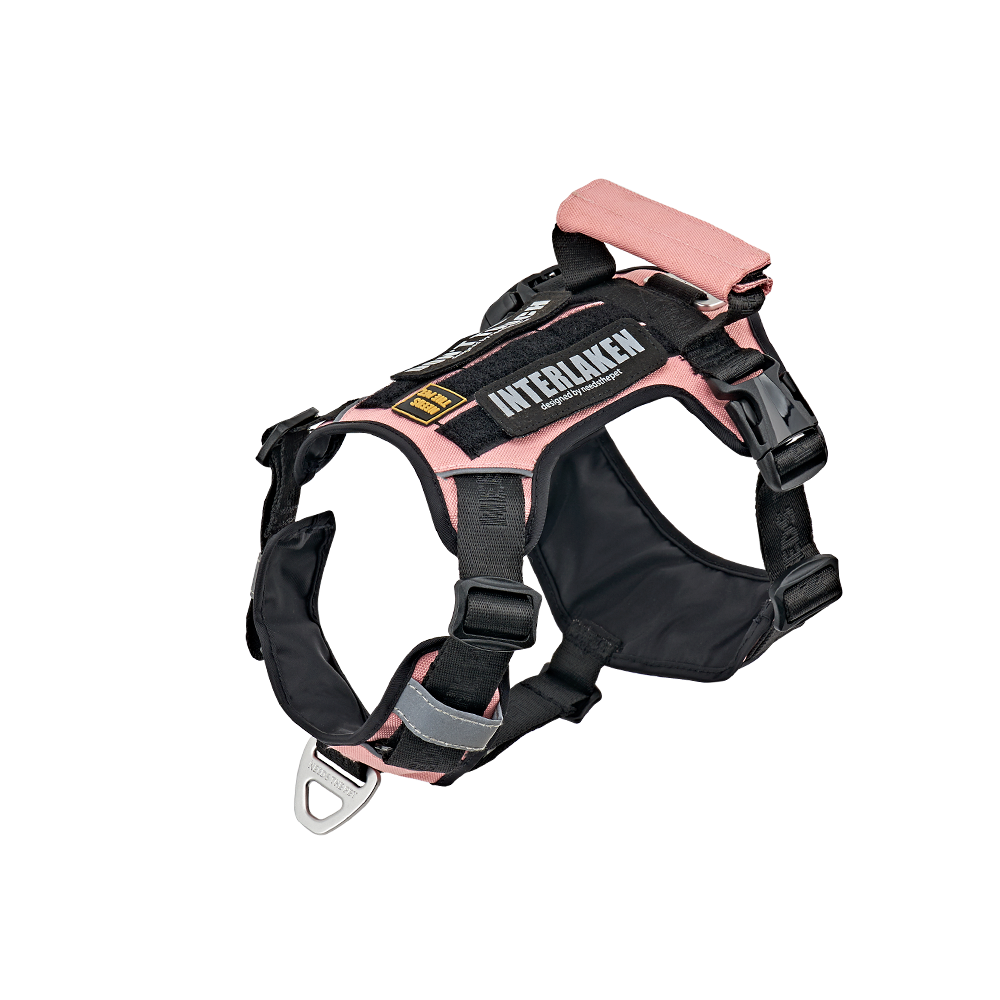 INTERLAKEN SLIM 2.0 HARNESS