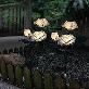 detail image1 DAEWANG King Flower Rose Light Lamp with Solar Panel LED (10 Sets) Interior Home Outdoor Decoration,