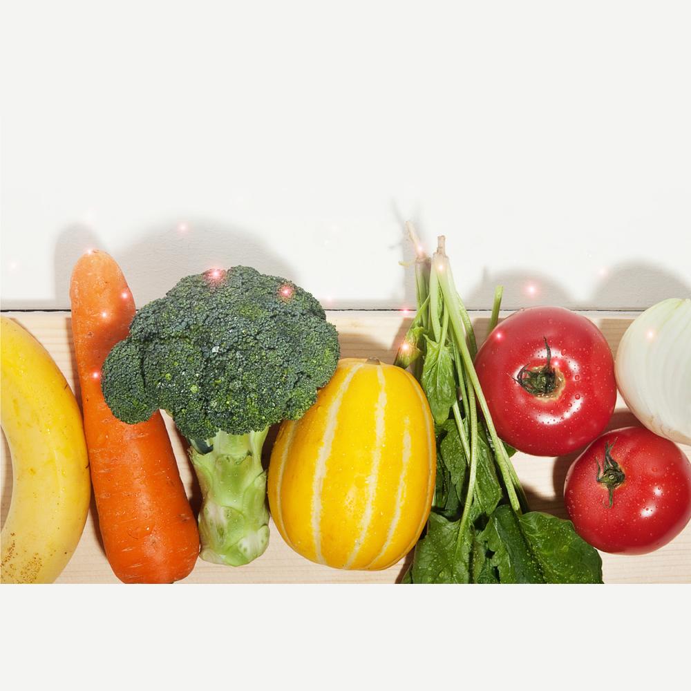 Yoojunglab Green Food storage bags L Size