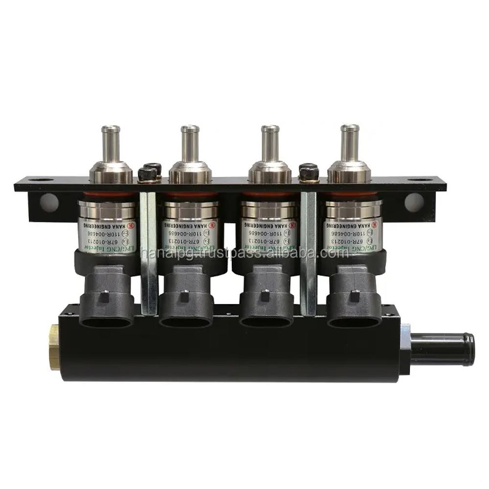 HANA CNGLPG rail type injector