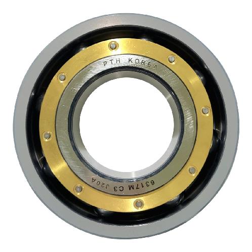 6317-M-C3-J20A INSULATED DEEP  GROOVE BALL BEARINGS
