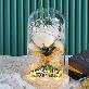 detail image4 LED Monroe Rose Flower Glass Dome Mood Light White Rose