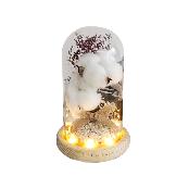 LED Cotton Glass Dome Mood Lamp Cozy Cotton Light