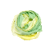 detail image1 Ombre   lightgreen   silk   scarf