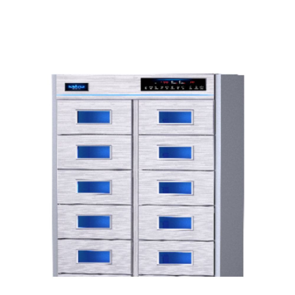 Klenz Shoe Sterilizer