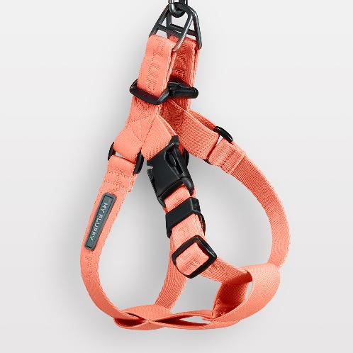 Notouch Harness Band | Dog harness, Dog supplies, Dog leash