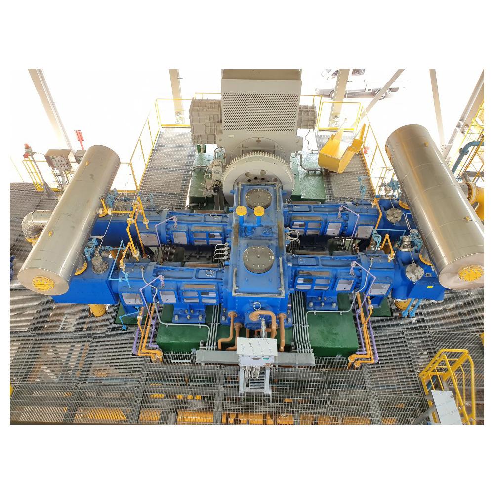 API 618 Heavy-Duty Reciprocating Process Gas Compressor